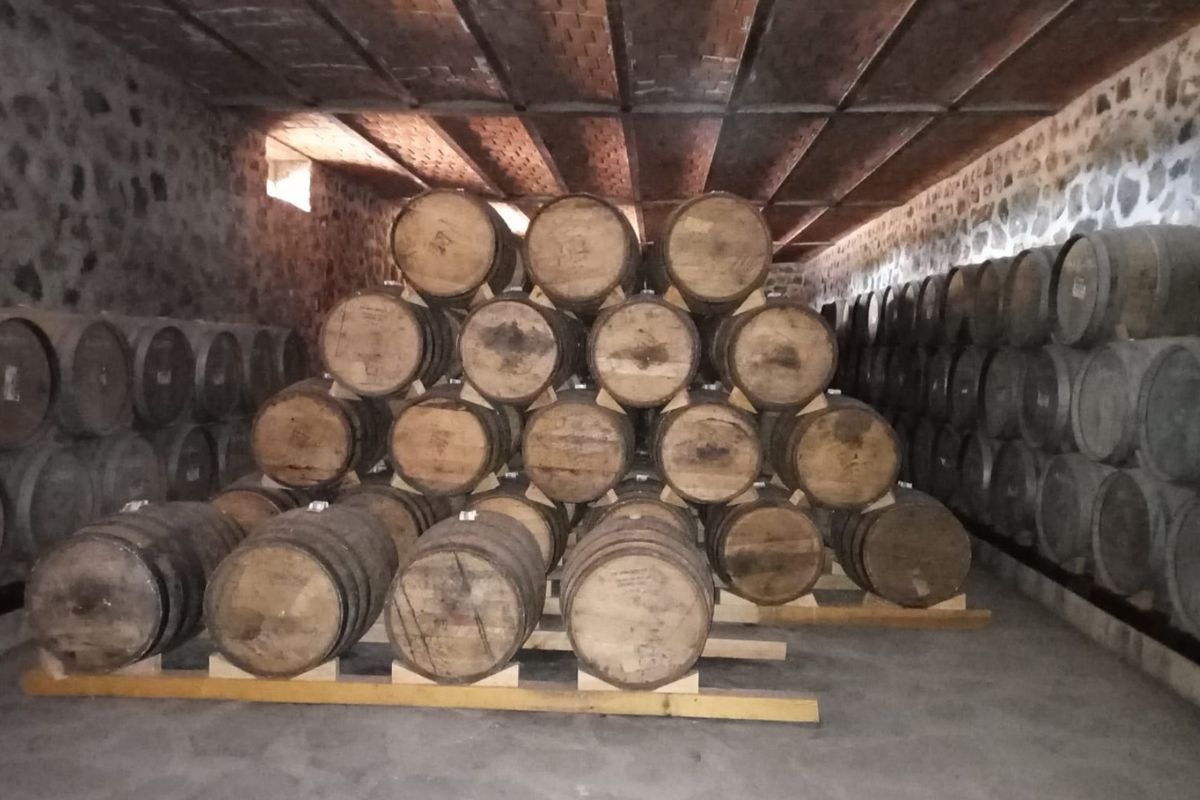 Cava de Tequila Convivencia