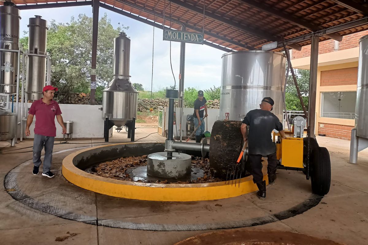 Molienda en Tahona