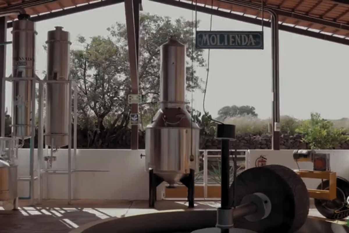 Visita fábrica