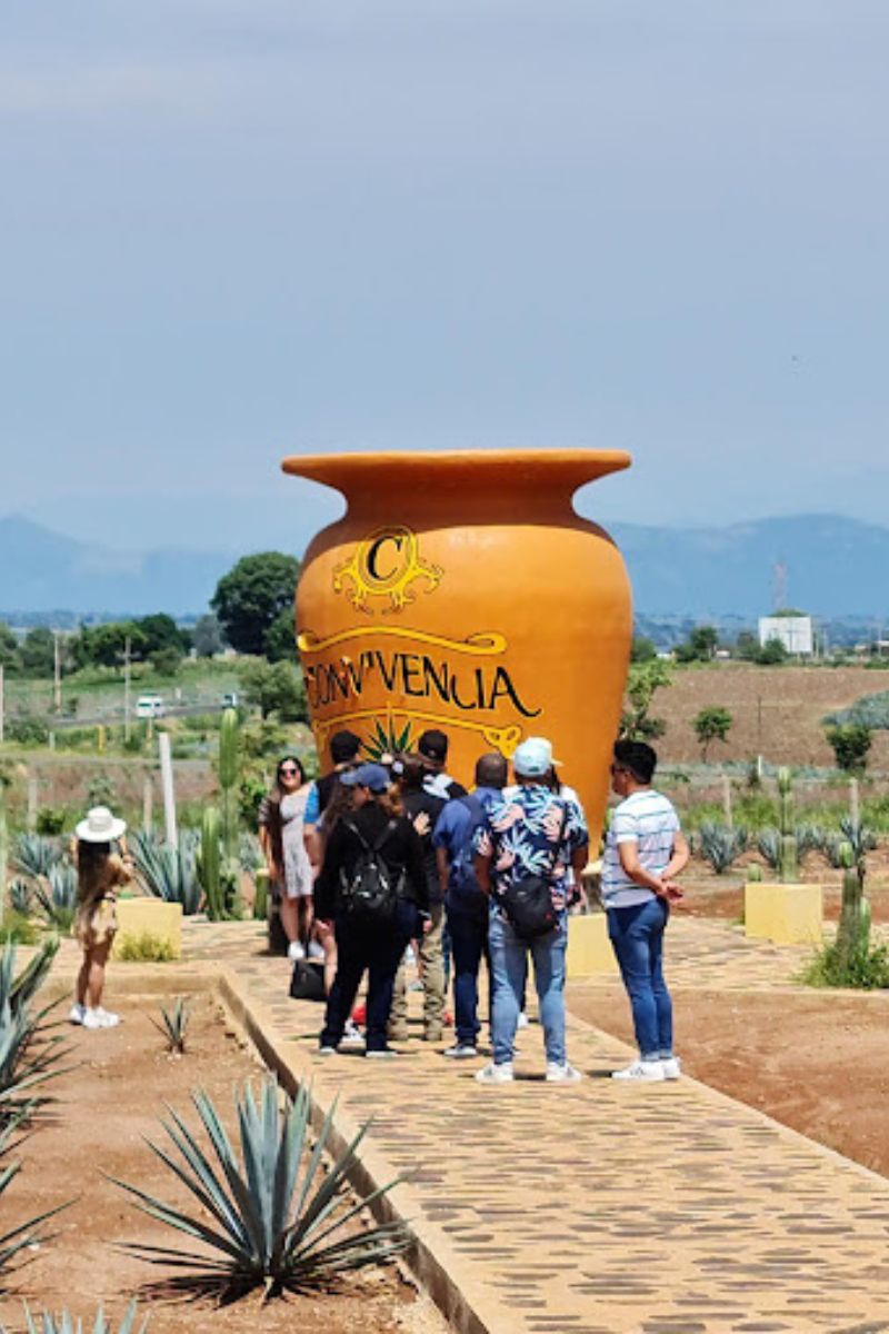 cantarito enorme rancho convivencia