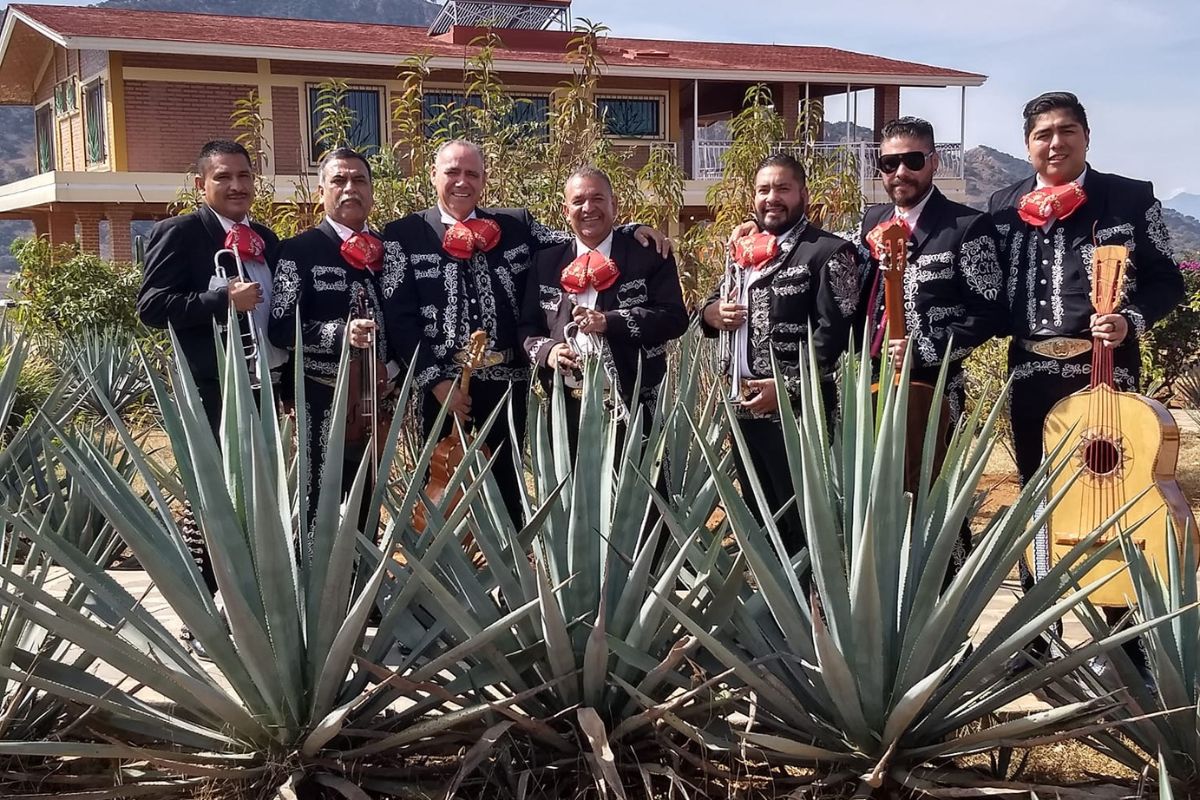 Mariachi en vivo