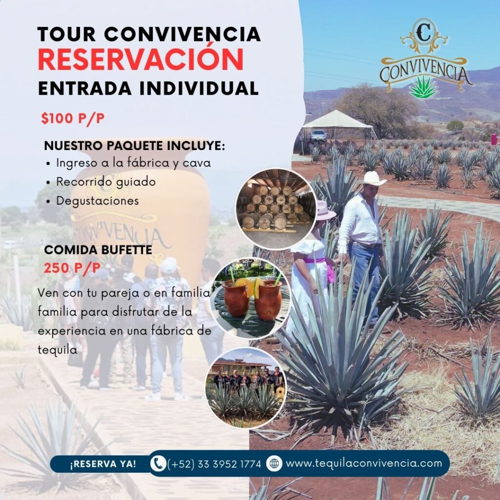 paquete comida bufette en tequila convivencia