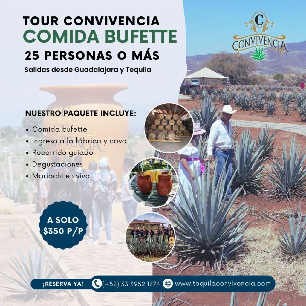 tequila convivencia tour comida bufette