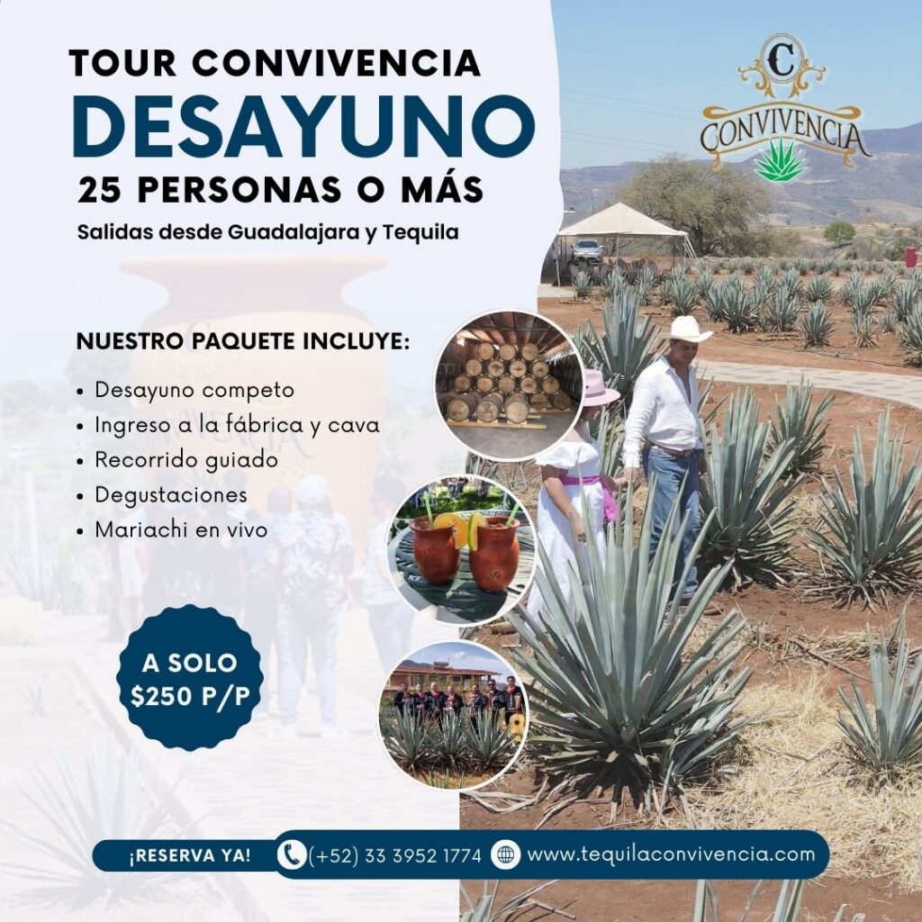 tequila convivencia tour desayuno